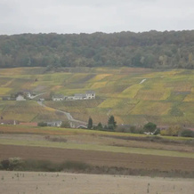 Instant Présent en Champagne, Brugny-Vaudancourt — photo 3