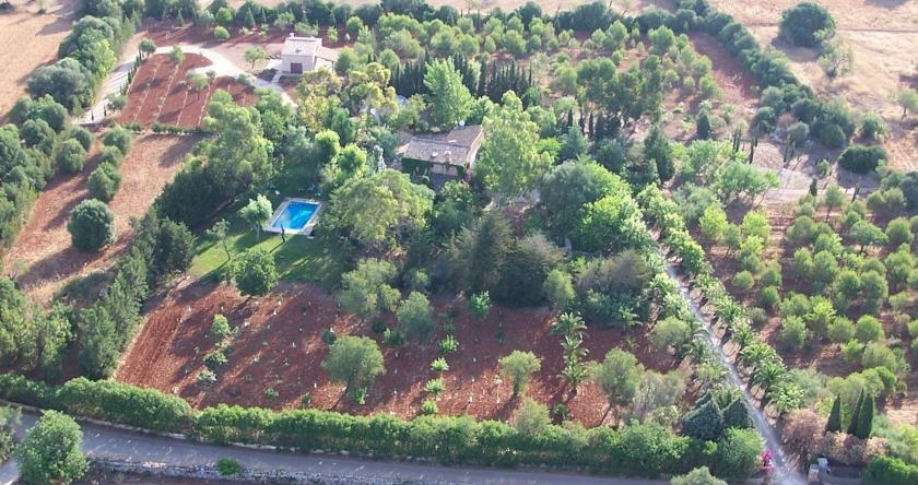 Finca Son Serra, Феланич — фото 1
