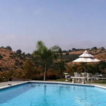 Avocado Wine Country Estate, Фоллбрук — фото 5