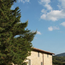 Tenuta San Felice, 贾诺-德尔翁布里亚 — 照片 2
