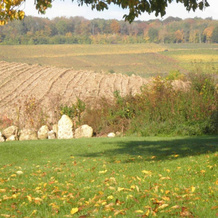 Domaine du Moulin de l'Etang, 沙蒂永马恩河畔 — 照片 4