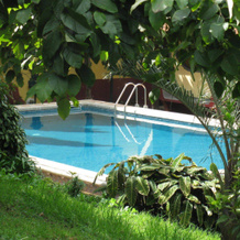 Pestana Quinta do Arco Nature & Rose Garden Hotel, 圣塔纳 — 照片 5