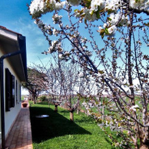 Agriturismo I Debbi, Биббона — фото 4