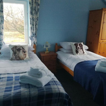 Ty Newydd Bed and Breakfast, 兰加多格 — 照片 4