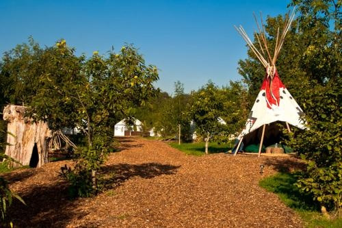 Plush Tents Glamping, Чичестер — фото 1