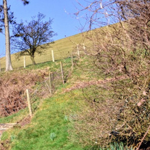Holiday Home Adjacent to Owner's Farmhouse, Near the Town of Builth Wells, 杜洪 — 照片 3