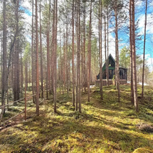 Uedinenny A-Frame V Sosnovom Lesu Private house, Loparskaya — photo 4