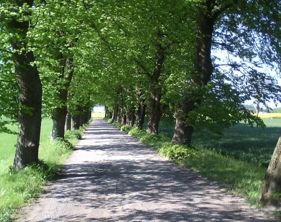 Ruegenfewo Am Feldrain, Trent — photo 1