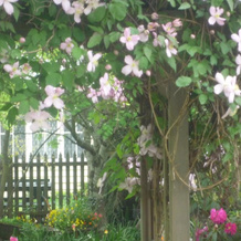 Rossmore Cottage, 凯西克 — 照片 4