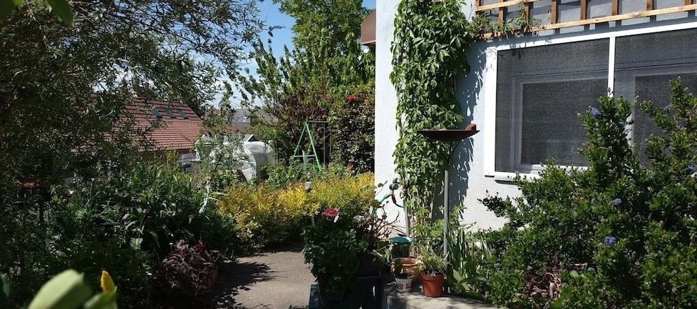 Gite et Studio proche Strasbourg, Breuschwickersheim — photo 1