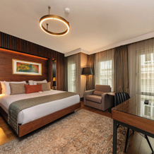 Levni Plus Hotel, Стамбул — фото 3