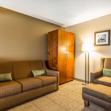 Comfort Inn Romeoville - Bolingbrook, Ромеовилль — фото 3