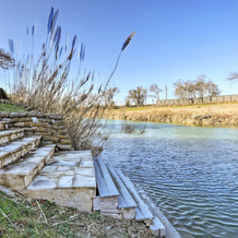 Blanco Riverfront Historic Home, 3 Mi to Downtown!, 布兰科 — 照片 5