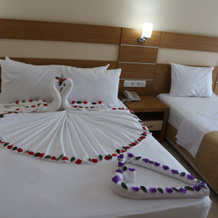 Green House City Hotel, 阿拉尼亚 — 照片 5