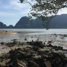 OYO Bulan Anda Baba Resort, 奥勒 — 照片 2