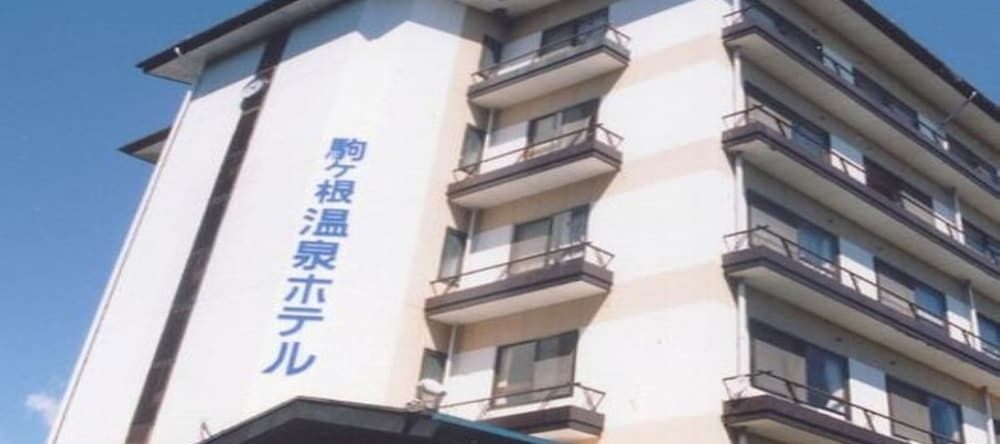 Komagane Onsen Hotel, 驹根 — 照片 1