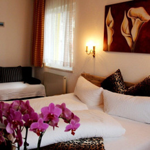 Europa Pension Tirol, 弗利斯 — 照片 4