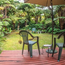 Ferny Hollow: Romantic Rainforest Cottage, 武尔卡诺 — 照片 3