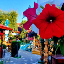 Hotel Poienita, Костинешти — фото 5