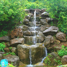 Yangpyeong Sudarak Pension, Yangpyeong — photo 3