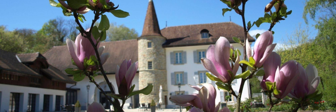 Chateau Salavaux, 贝尔里夫 — 照片 1