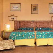 Agriturismo Perucci di Sopra, 斯坎扎诺 — 照片 3