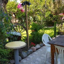 Hostal Las Delicias, Vicuna — photo 4
