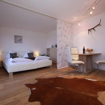 Alpin Resort Austria, 比希尔巴赫 — 照片 5