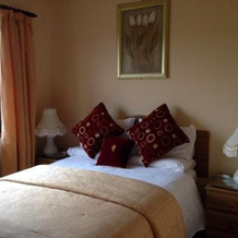 Bunratty Villa B&B, Банратти — фото 2