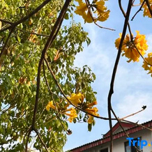 Lincang Heat Limit Limited Edition Hotel, Lincang — photo 4