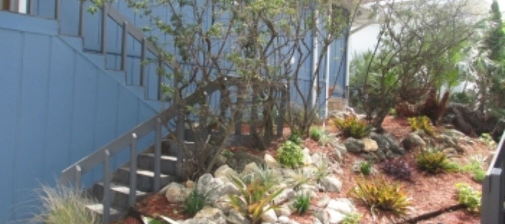 Serenity by the Sea - 4 Bedroom 4 Bath - Oceanfront Pool Home, Ponce Inlet — photo 1