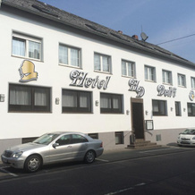 Dolfi Hotel & Restaurant, 迈巴赫 — 照片 2