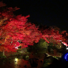 Kaze No Tani No Iori, Гамагори — фото 5