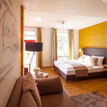 Weinhotel Mayers, 采尔（摩泽尔） — 照片 2
