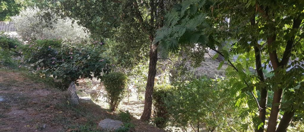 Chiapatella, 彭塔-迪-卡辛卡 — 照片 1