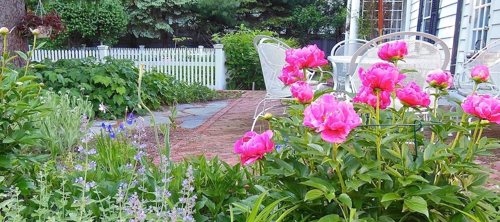Millbrook Country House Bed & Breakfast, Clinton Corners — photo 1