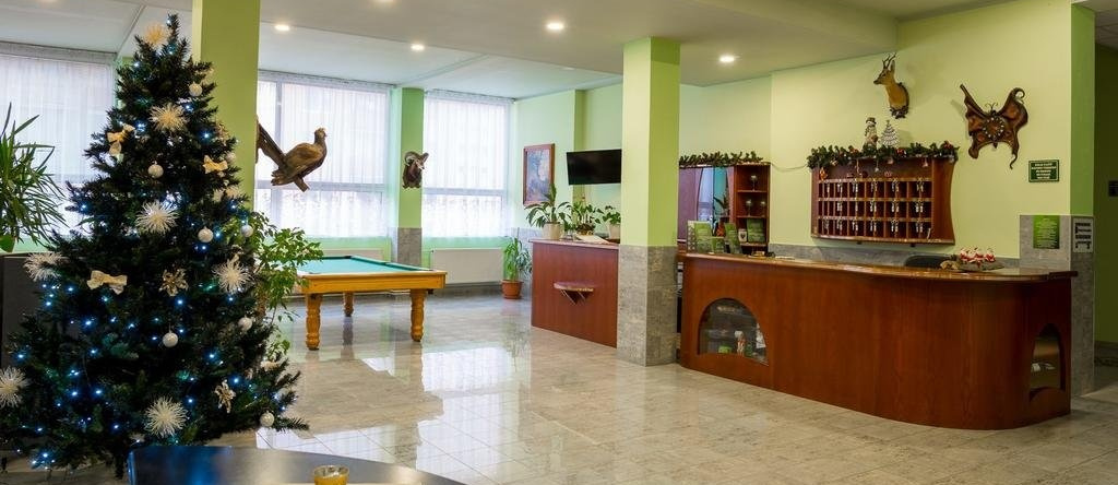 Hotel Diana, Nove Mesto nad Vahom — photo 1
