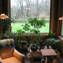 Sasquatch Crossing Eco Lodge B&B, Агассис — фото 3