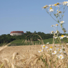 Schwarzer Adler Weingut, Ипсхайм — фото 5