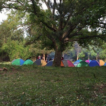 Kirkahvesi Garden - Campsite, 奇纳尔哲克 — 照片 5