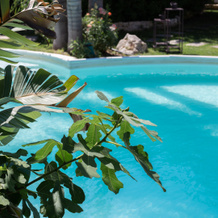 Masseria Messapia Wine Resort & SPA Hotel, 梅萨涅 — 照片 3