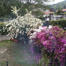 Casa Orisca, Леза — фото 4