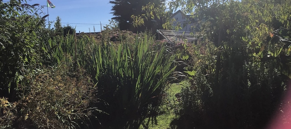 Wellspring Cottage nr Kynance Cove, 马利昂 — 照片 1