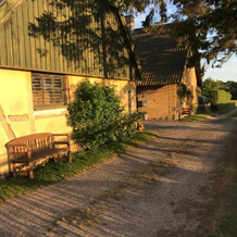 SIMPLE LIVING - Beds 190 cm - Dogs welcome on request - CARAVAN - COSY FARM BnB, 瓦尔瑟 — 照片 2