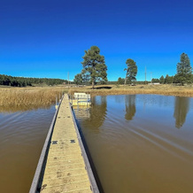 10 Mi to Downtown Flagstaff: Home w/ EV Charger, Kachina Village — photo 3