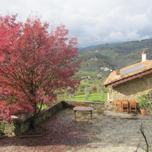 Agriturismo La Fontaccia, Руфина — фото 2