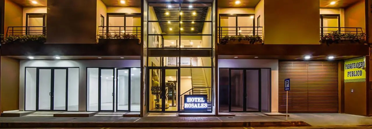 Hotel Rosales, Нейва — фото 1