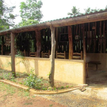 Sinharaja Eco Lodge, Поддана — фото 5