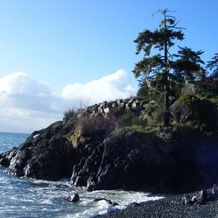 Orca View Cottage, 奥特角 — 照片 2