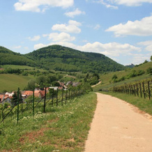 Ferienwohnung Pimer, Ranschbach — photo 4